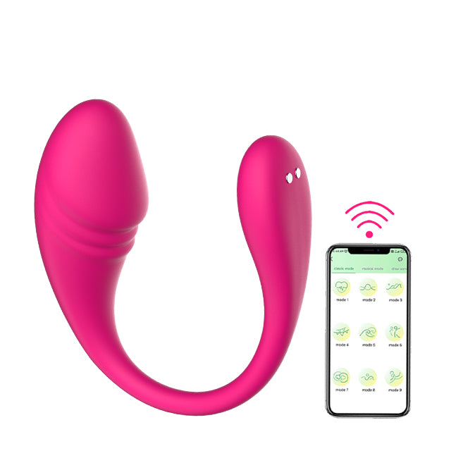 Smartphone Remote Wireless Connection