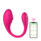 Smartphone Remote Wireless Connection