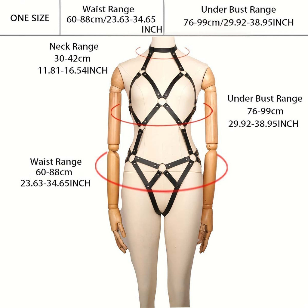 One-size harness guide showing neck 30 to 42 cm, underbust 76 to 99 cm and waist 60 to 88 cm