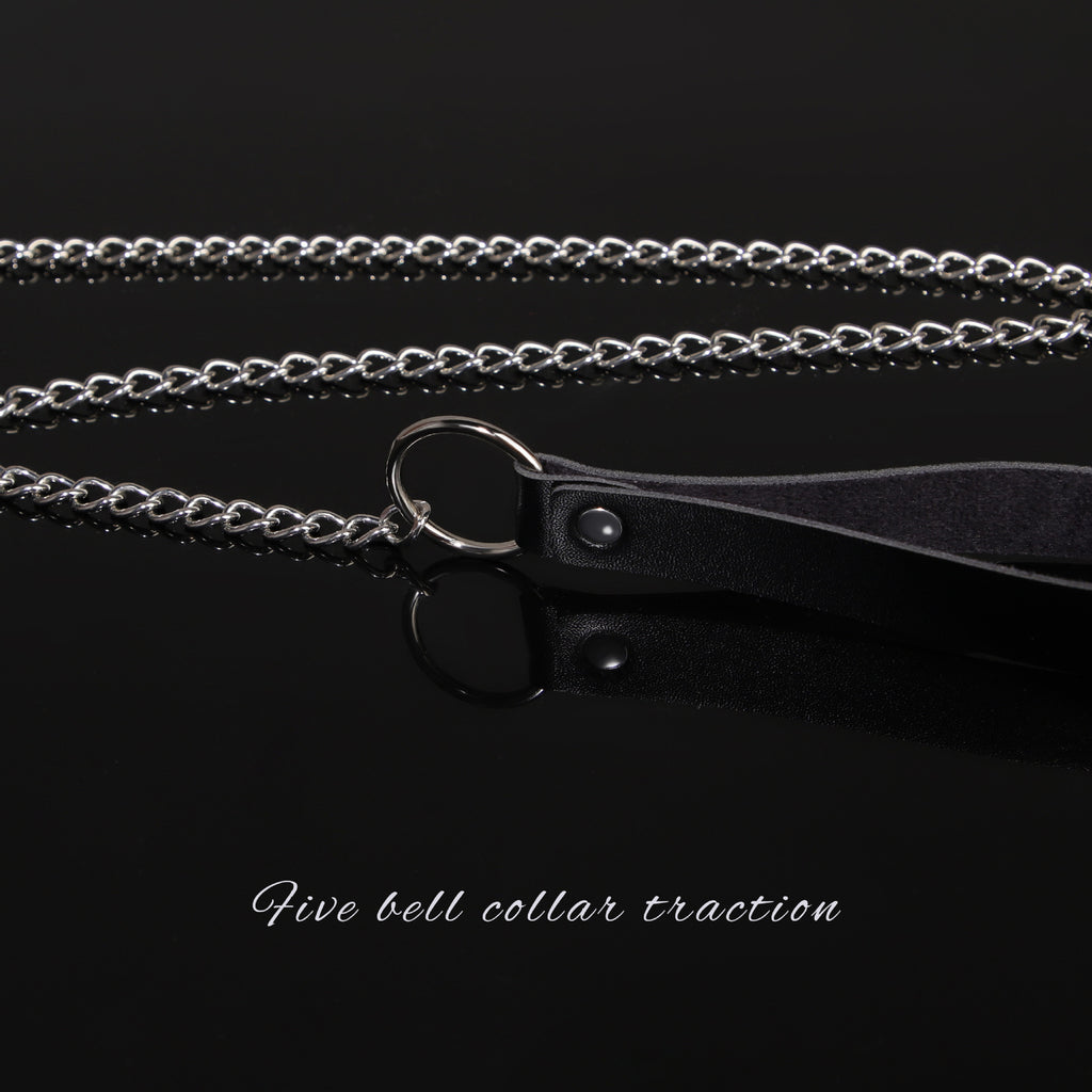 Silver-tone chain leash with black loop handle and clip