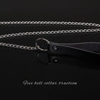 Silver-tone chain leash with black loop handle and clip