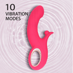 Premium Heating Rabbit Vibrator | Thrusting & Dual Vibration