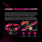 Side view of thermochromic puppy tag collar showing pink color change