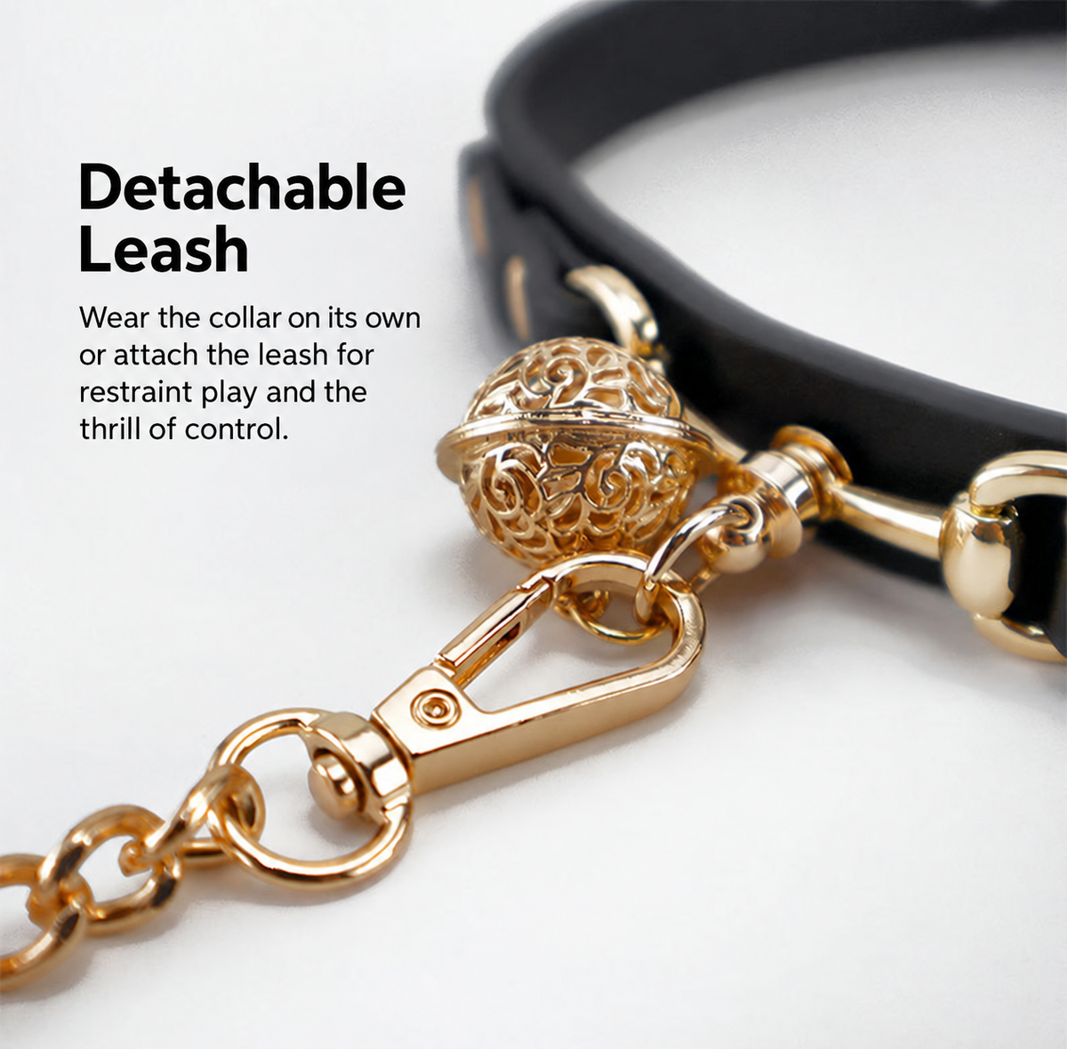 Black bell collar and gold-tone chain leash with specifications shown