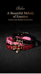 Black adjustable bell collar with matching gold-tone chain leash