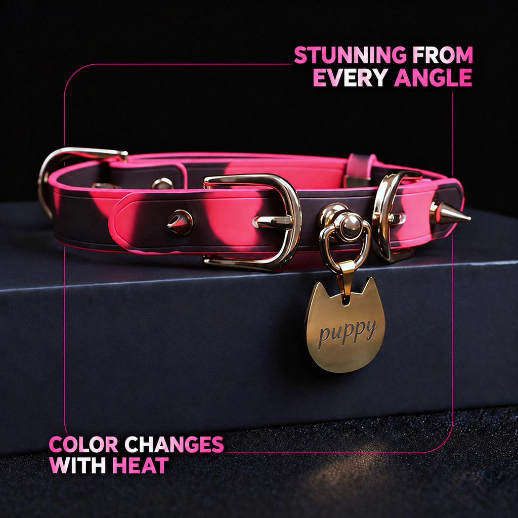 Close-up of adjustable buckle and detachable chain leash for thermochromic puppy collar
