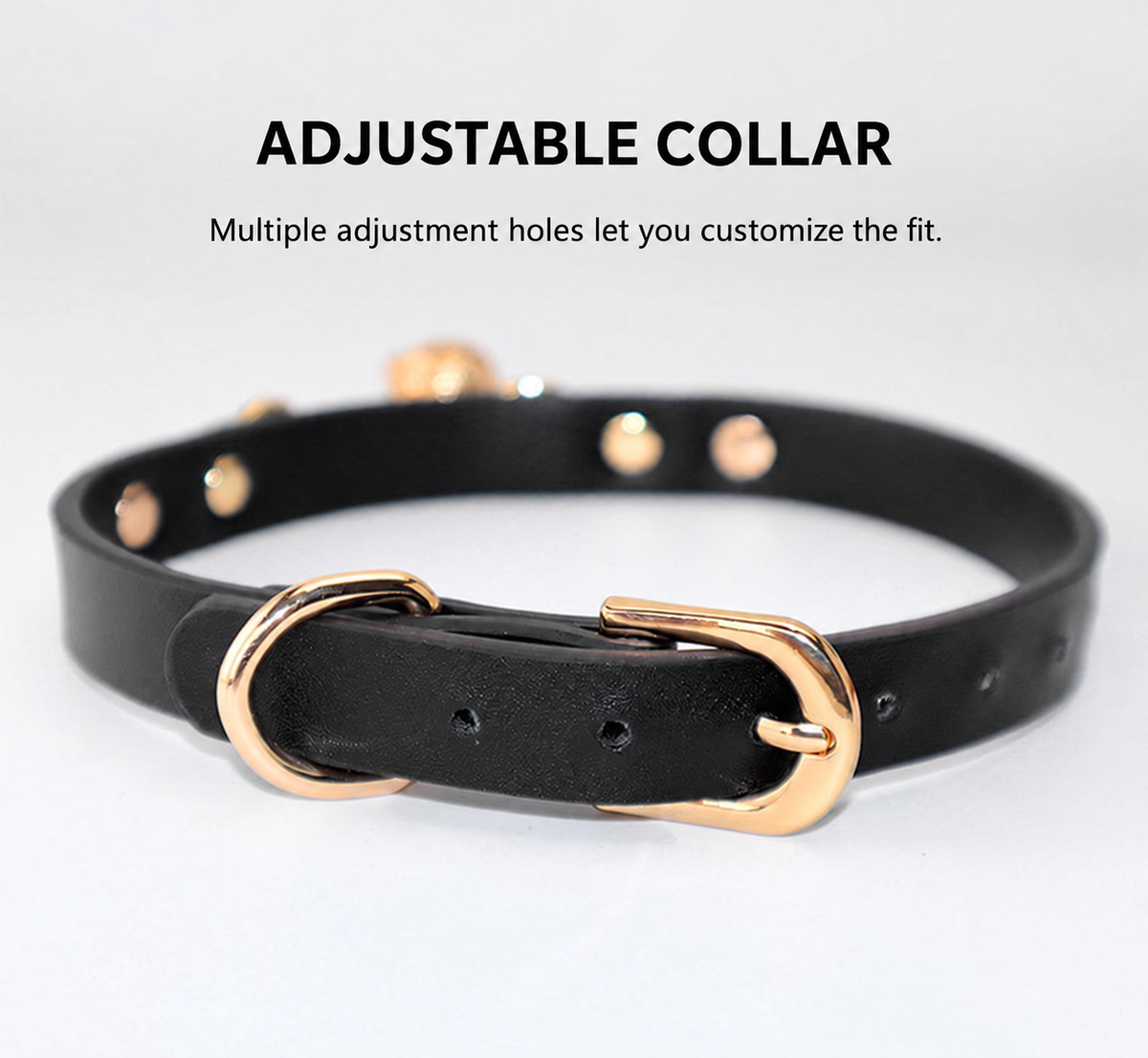 Black collar showing adjustable buckle and multiple fit holes